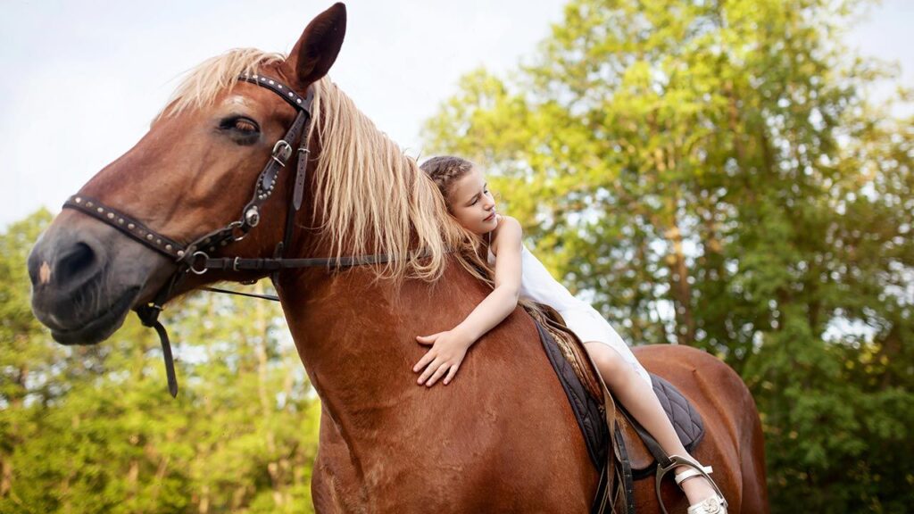 Animales detectores de enfermedades humanas, te decimos los más conocidos 4 Equino