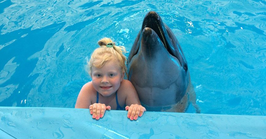 Animales detectores de enfermedades humanas, te decimos los más conocidos 3 terapia delfin