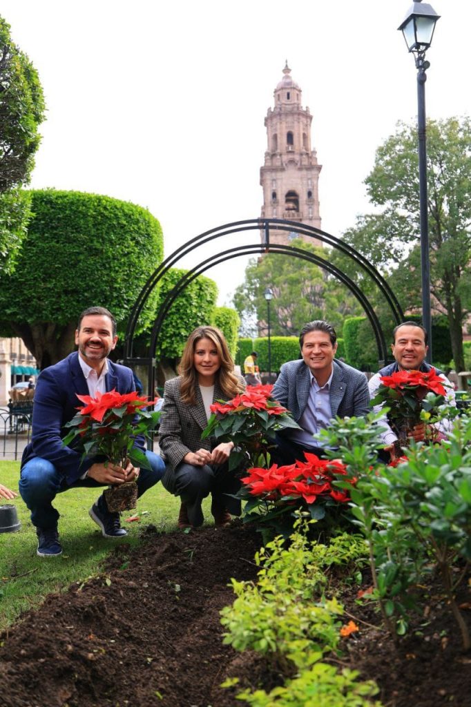 Miles de nochebuenas comienzan a decorar Morelia para época decembrina 1 GobMorDic3