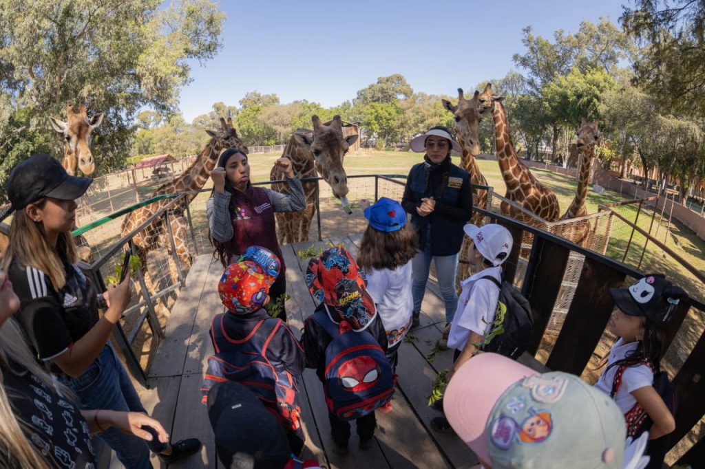 Consienten SEDEBI y Zoológico a niñas y niños con discapacidad auditiva 1 SEDEZOO2