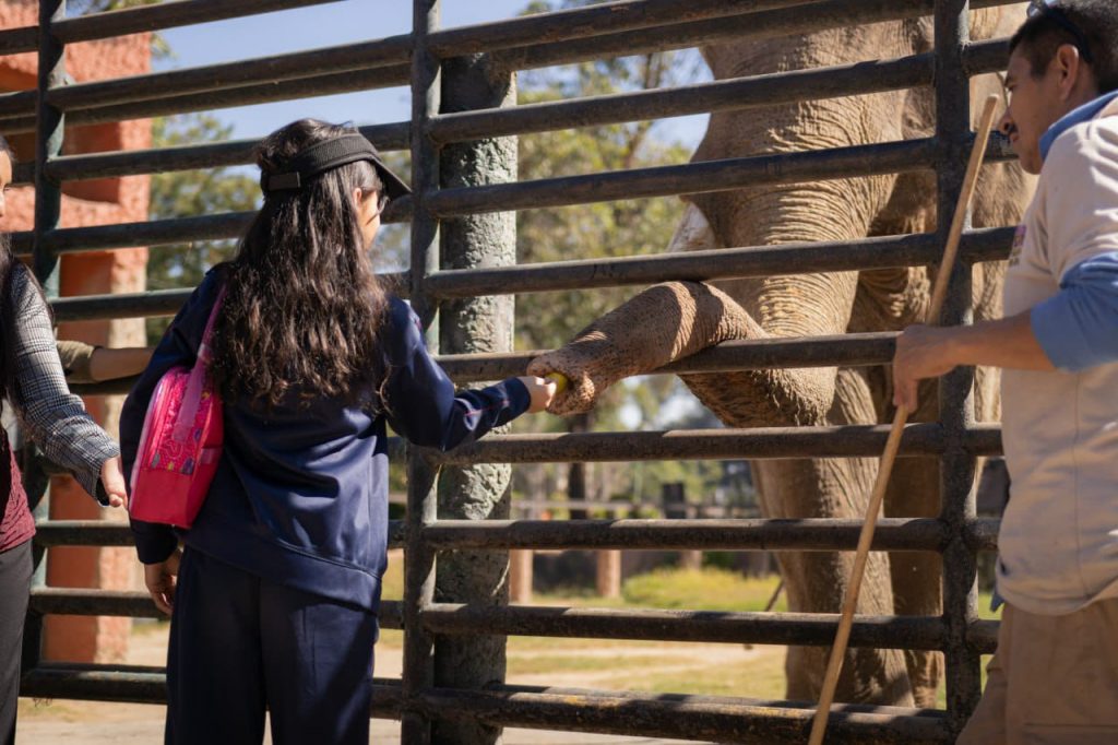 Consienten SEDEBI y Zoológico a niñas y niños con discapacidad auditiva 2 SEDEZOO3