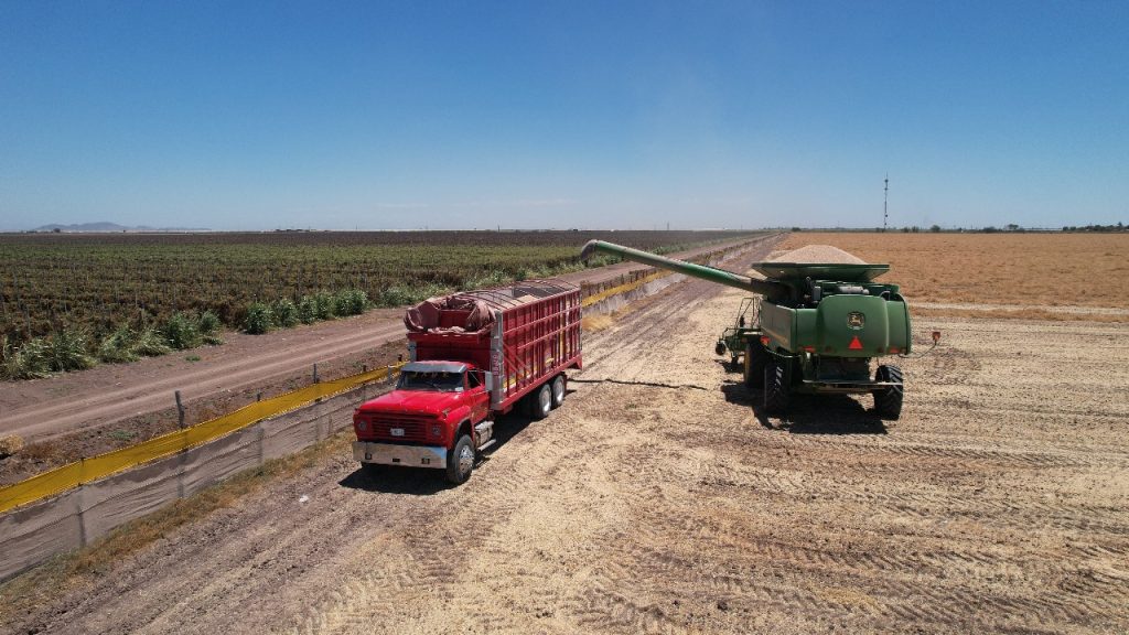 Se disparan nerviosismo e incertidumbre en sector agroalimentario: NexusAgronegocios 1 NEXUS2