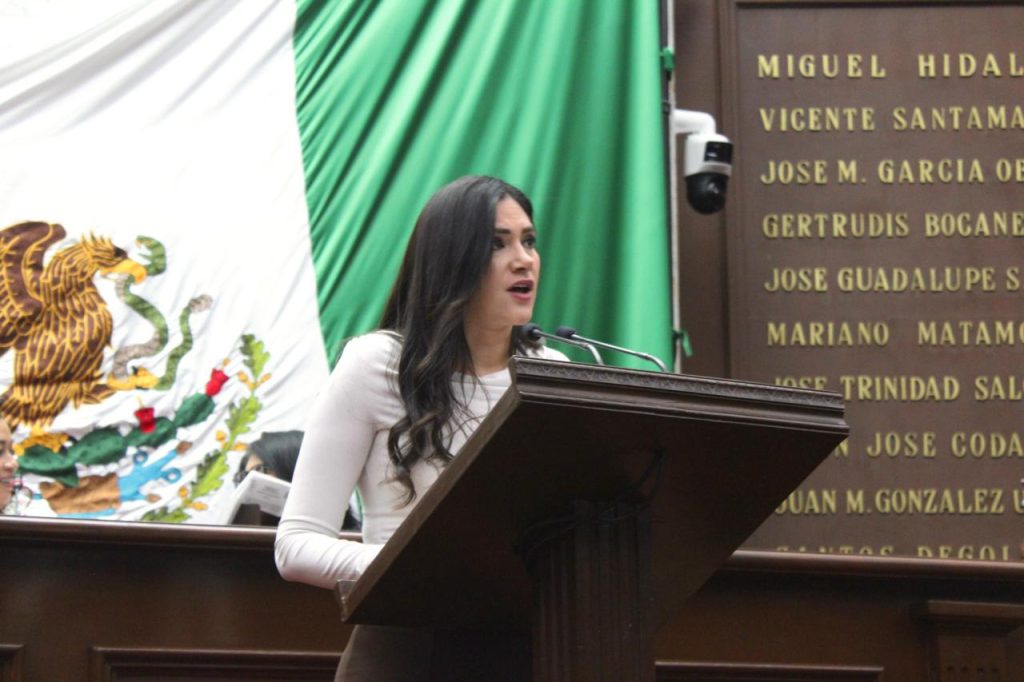 Debemos garantizar un proceso electoral de juzgadores, transparente y apegado a derecho: Diana Espinoza 1 DianaEleccJud2