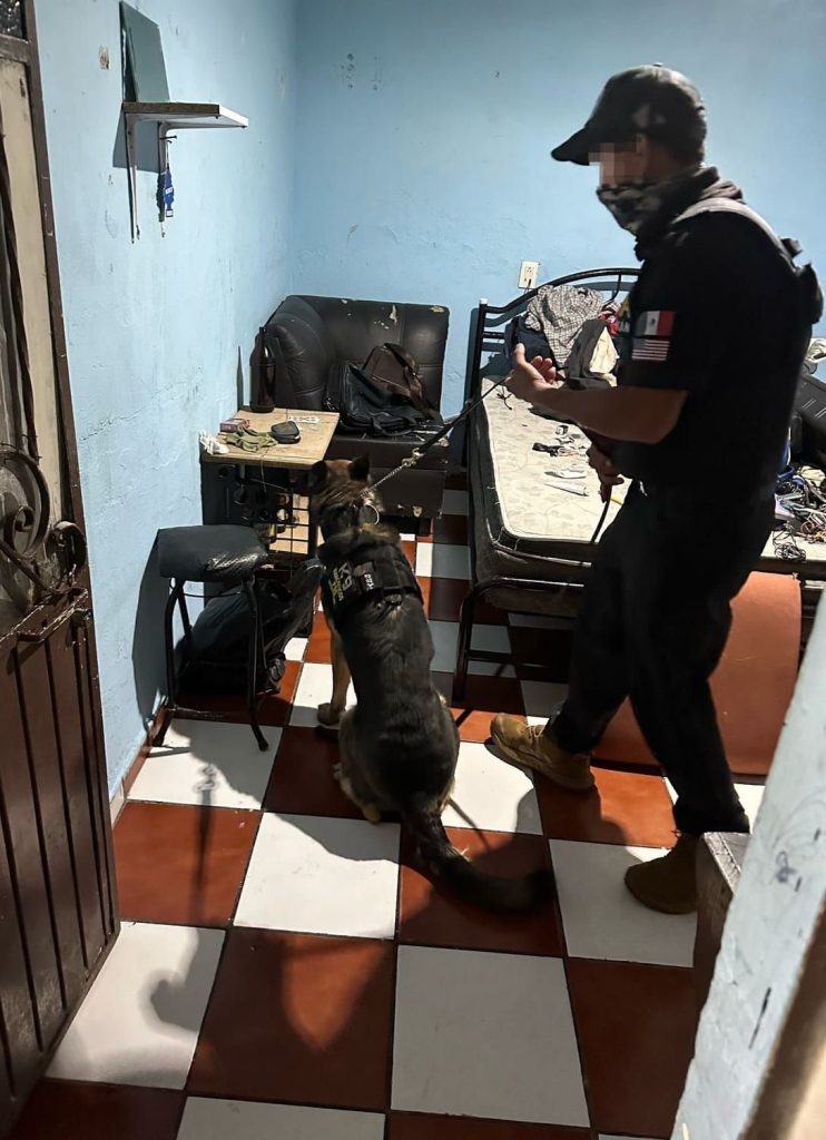 En cateo realizado en la colonia Jardines del Quinceo, fue asegurado narcótico y detenidas seis personas 1 img 20250309 wa00392559329363229358078