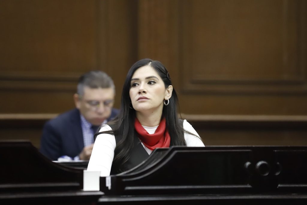 Desde las leyes debemos combatir la violencia de género: Diana Espinoza 2 img 20250326 wa01893258178325928146389