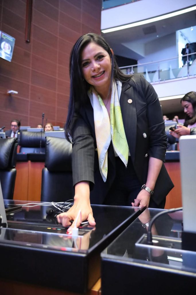 TEPJF acredita violencia política por razón de género, cometida contra la senadora Araceli Saucedo 1 AraViolPolGen