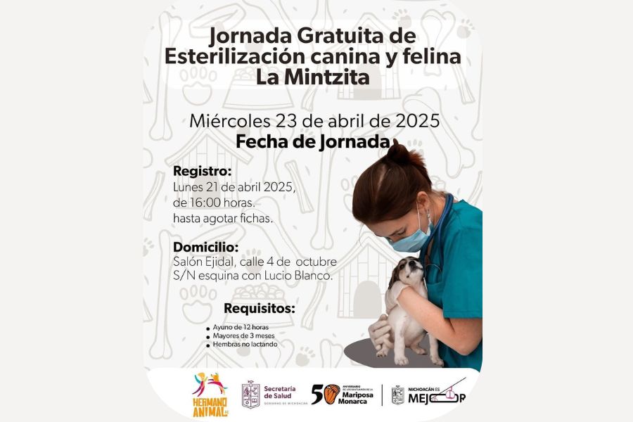 Diseno sin titulo 2025 04 21T104226.840