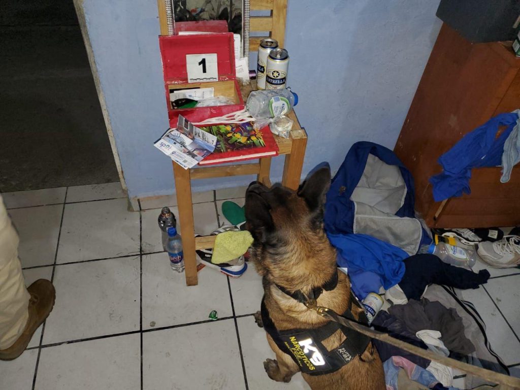 FGE realiza cateos en Tarímbaro y Morelia; asegura narcótico y detiene a ocho personas 2 FGECatsTarMor3