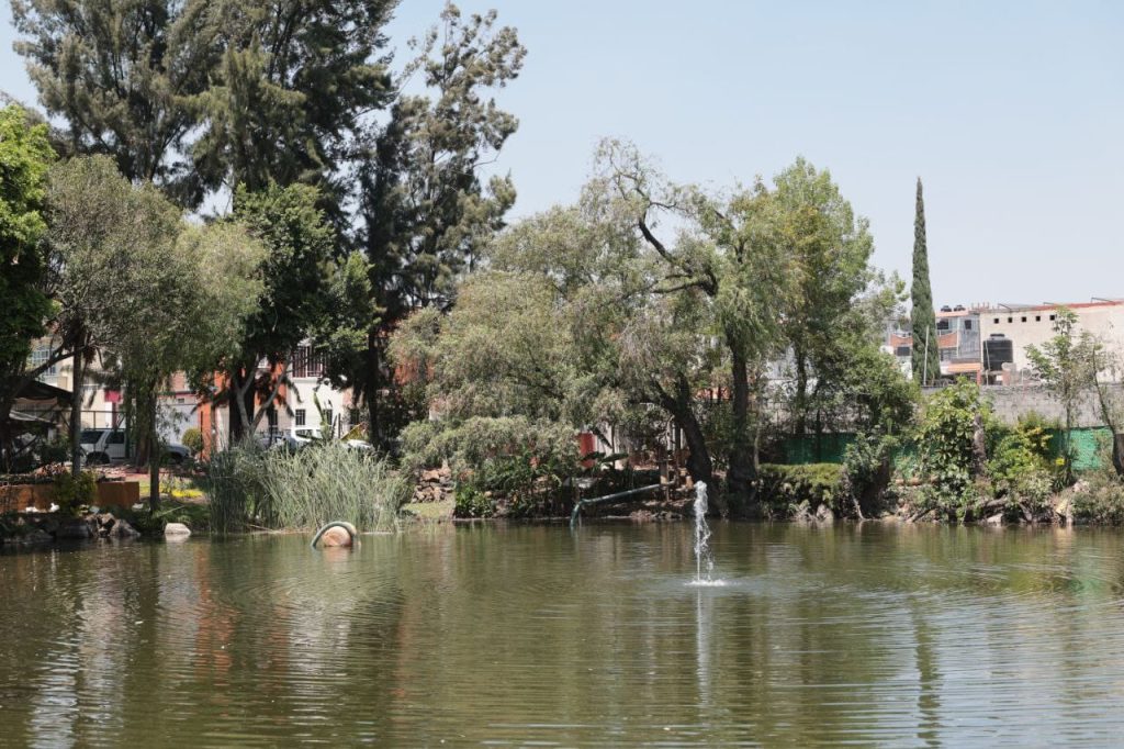 Gobierno de Alfonso Martínez recupera ojo de agua del Vivero Municipal 4 GobMorOjoAguViv2