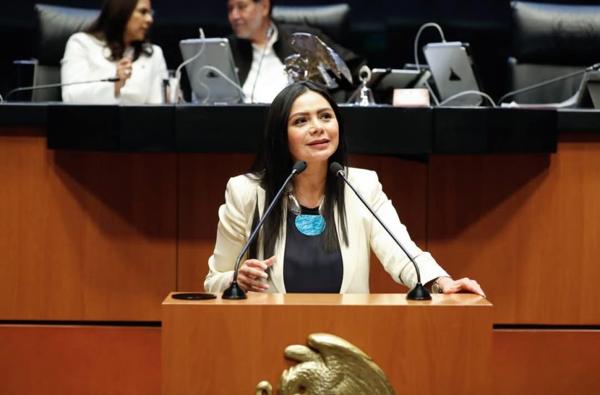  Araceli Saucedo respalda acuerdo para rechazar impuesto a remesas desde EU