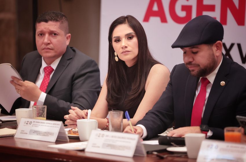 Voto libre de jueces y magistrados, derecho ciudadano que se debe respetar: Diana Espinoza