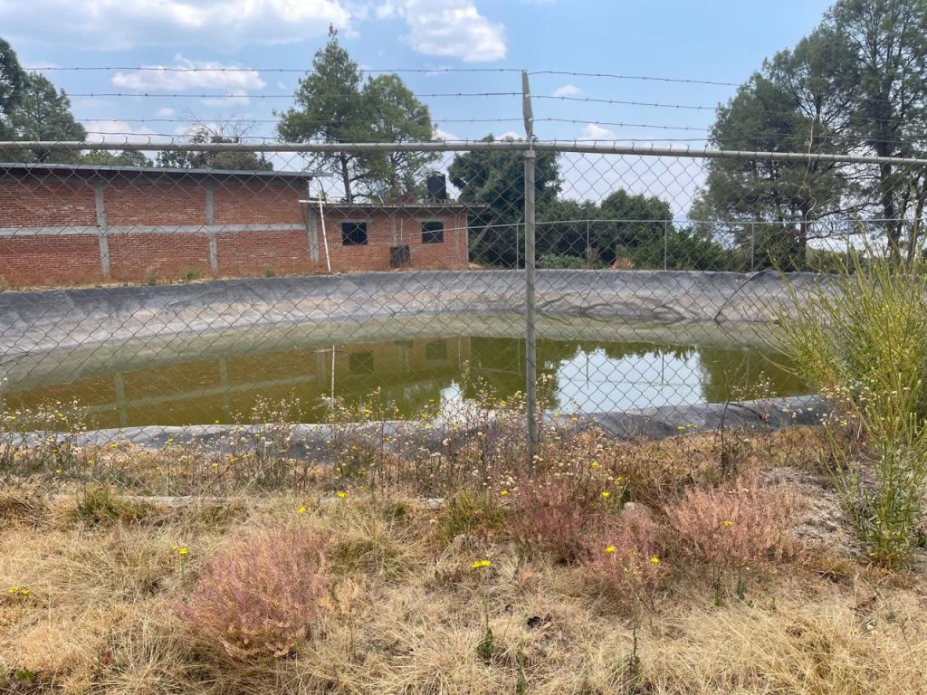 En Erongarícuaro, cumplimenta FGE cateo en huerta relacionada en delito contra el ambiente 2 FGECatErong3
