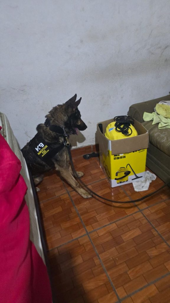 En cateo realizado en Pátzcuaro, FGE asegura metanfetamina 1 FGECatPtzMentan2