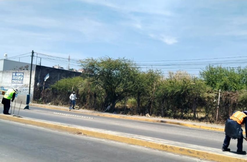 Brigadas de la Secretaría de Servicios Públicos intervienen camellones al Norte de Morelia