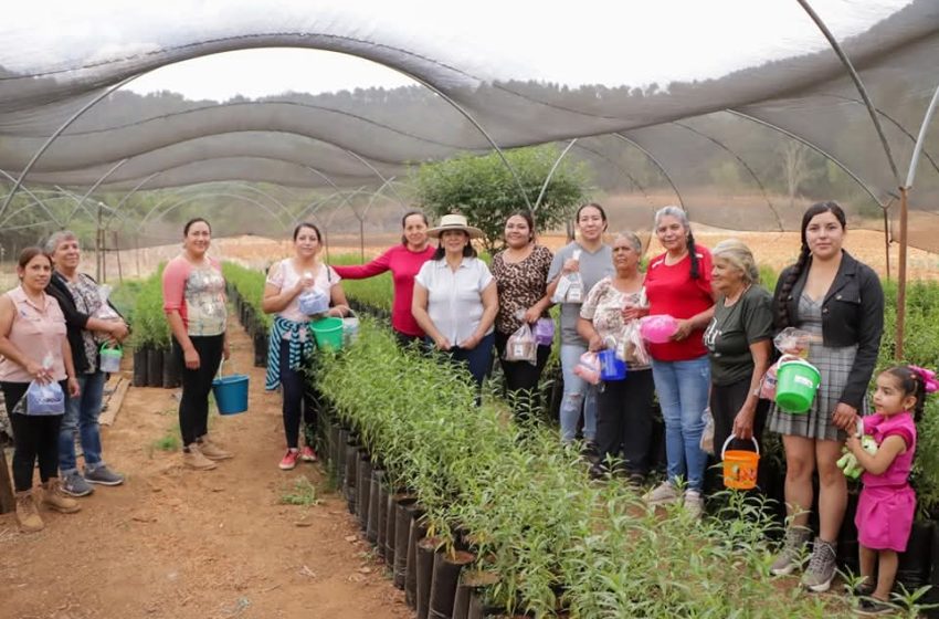 Brinda Alma Mireya González un reconocimiento, con cariño y gratitud a madres de Icuácato