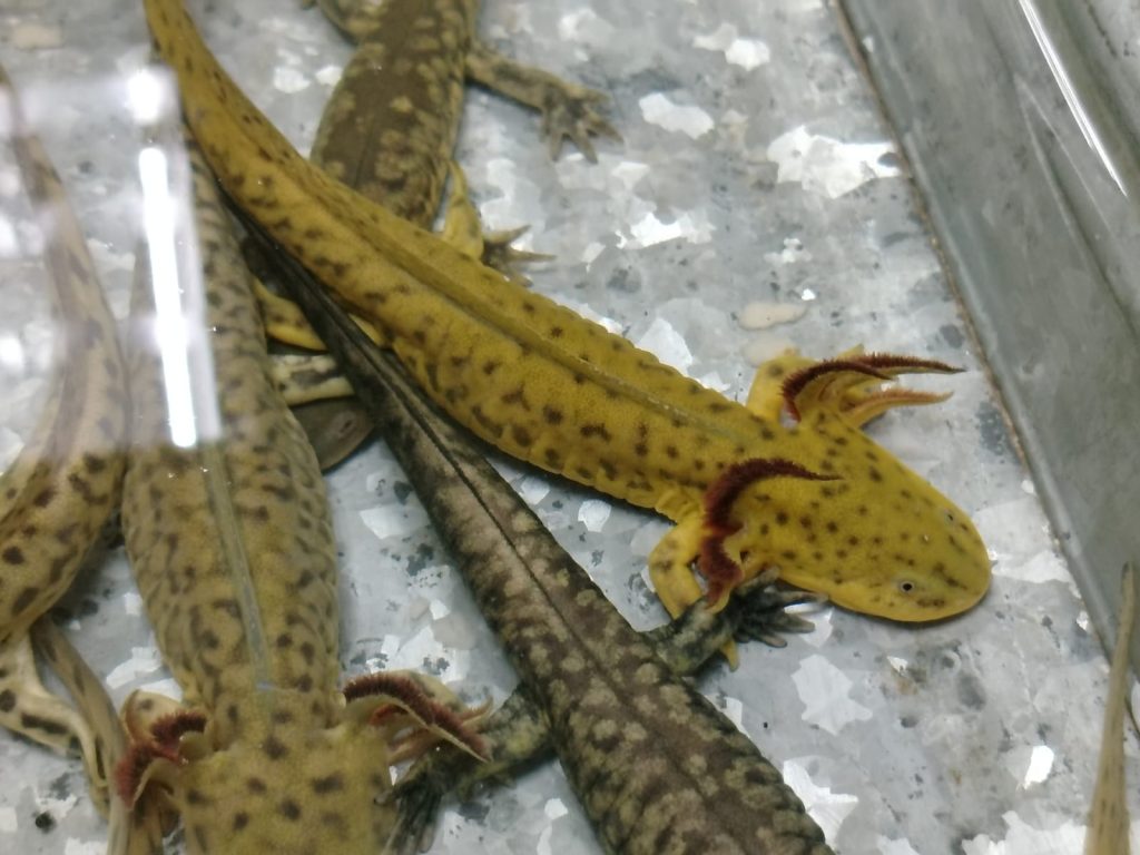 IMG 20250523 WA0188