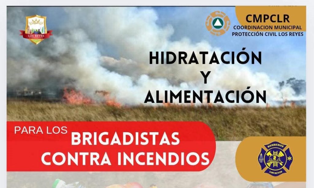 LRBrigadistas1