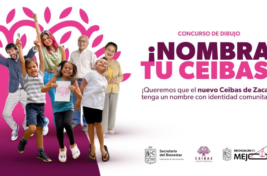 Hoy cierra concurso para nombrar Centro para el Bienestar Zacapu: SEDEBI