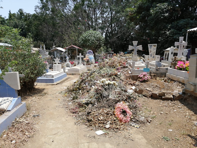 Sepultados en basura, así se observa el Cementerio Municipal de San Juan Evangelista de Uruapan 1 UPNCem2