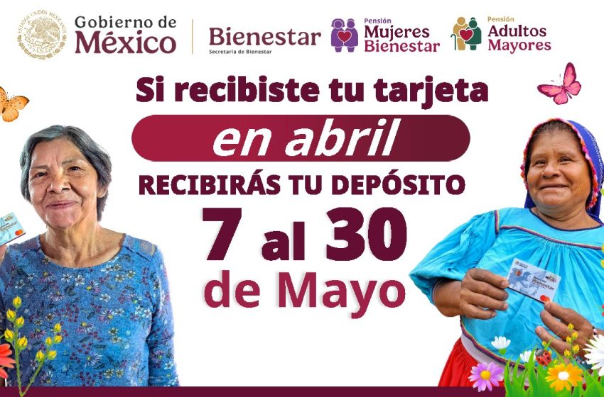 Inicia pago de Pensiones y Programas para el Bienestar: Ariadna Montiel