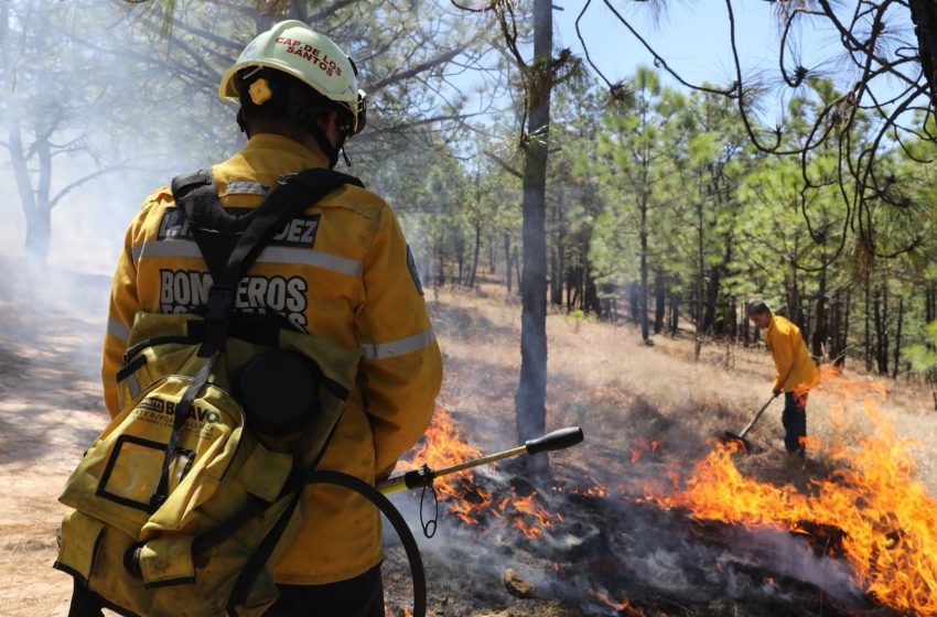 Brigadas apagan 9 incendios forestales y controlan 6: Cofom