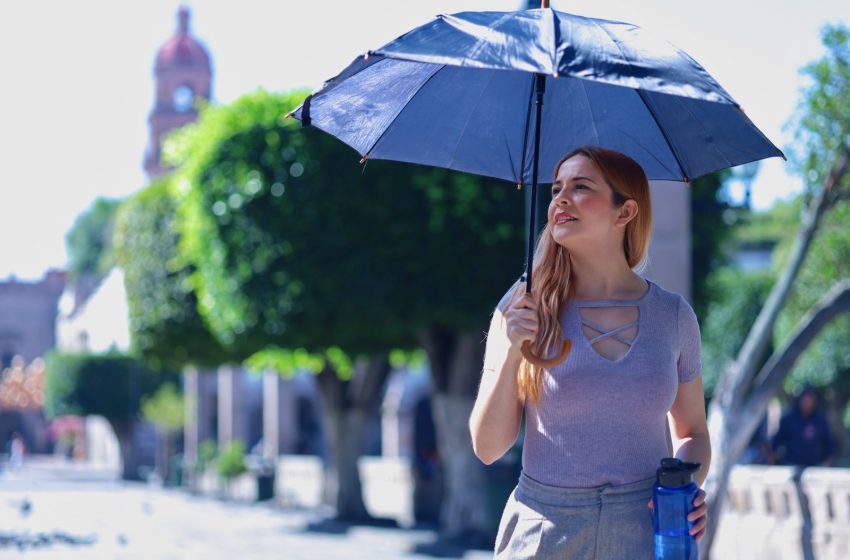 SSM te dice qué hacer y cómo detectar oportunamente un golpe de calor