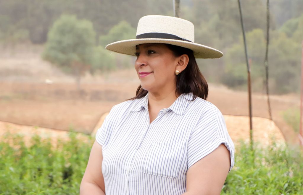 Promueve Ayuntamiento de Quiroga huertos familiares con árboles frutales 1 img 20250519 wa02101576231090639143064