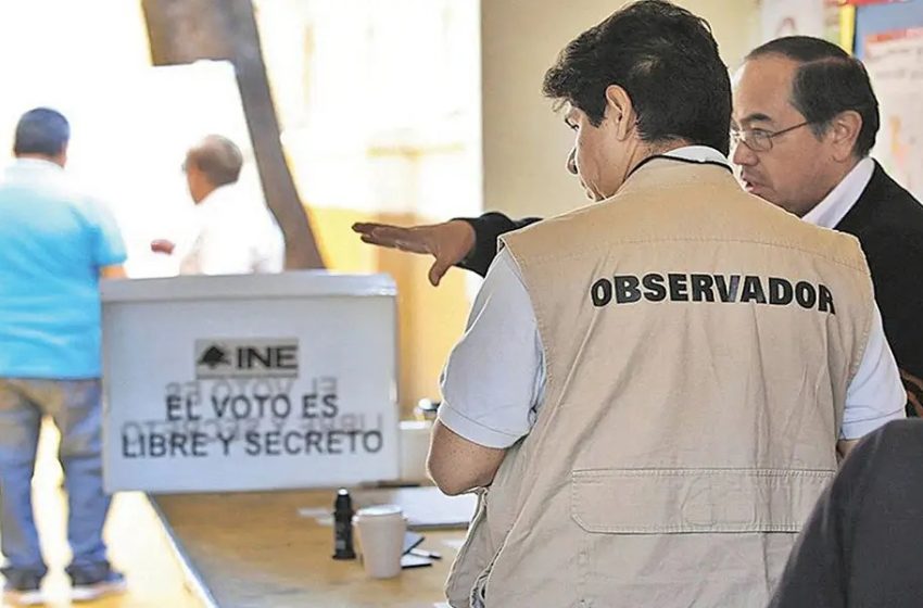 observador electoral INE