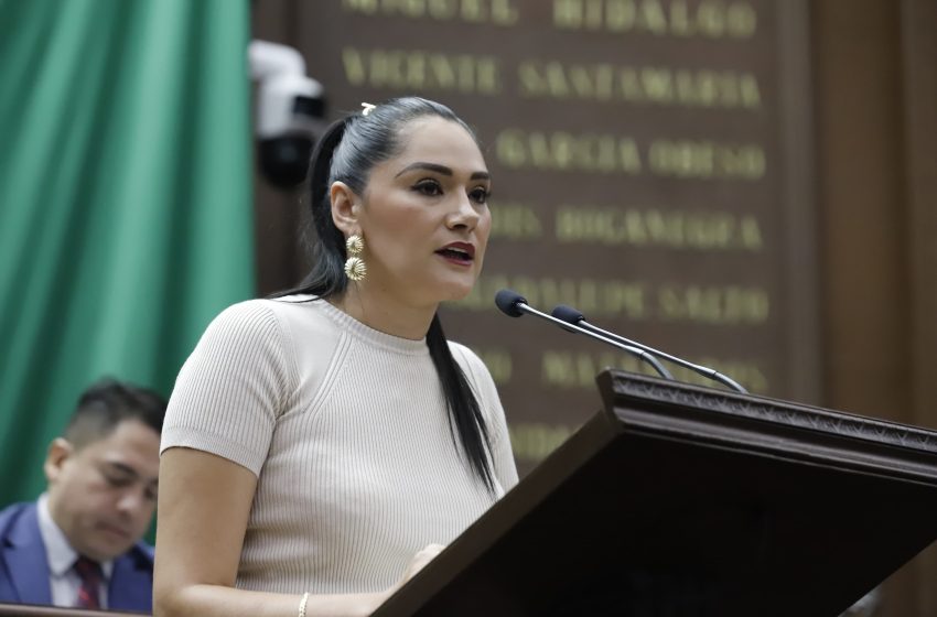 En Michoacán debemos garantizar el derecho humano a un medio ambiente sano: Diana Espinoza, al presentar reforma a Ley Ambiental del Estado