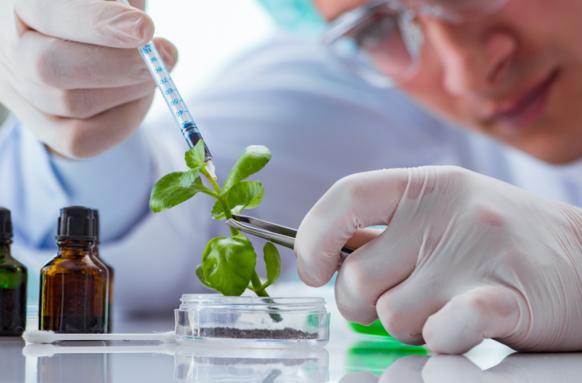 16 de junio, Día Internacional de la Biotecnología
