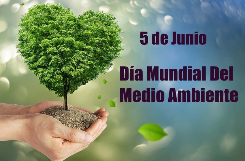 5 de junio, Día Mundial del Medio Ambiente