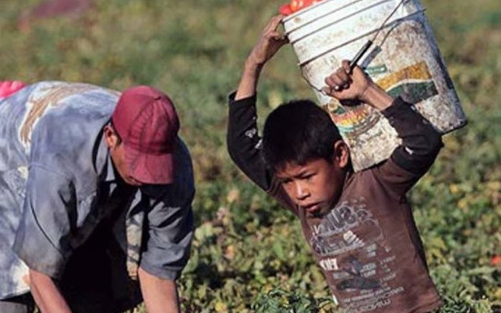 DiaTRABAJO INFANTIL
