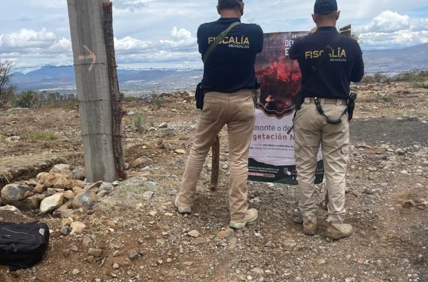  Cumplimenta FGE cateo en predio de Atécuaro, municipio de Morelia, relacionado en cambio de uso de suelo