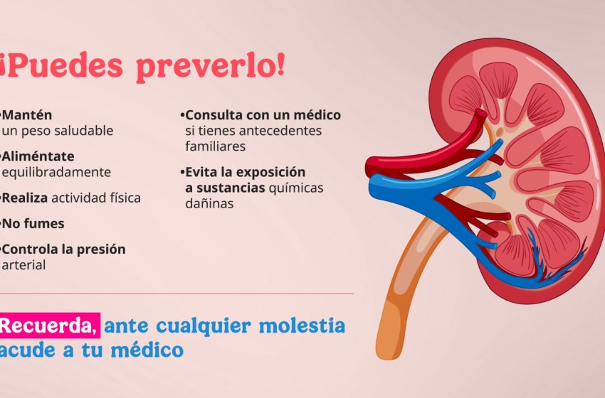 Recomienda ISSSTE cuidar la salud renal para prevenir cáncer