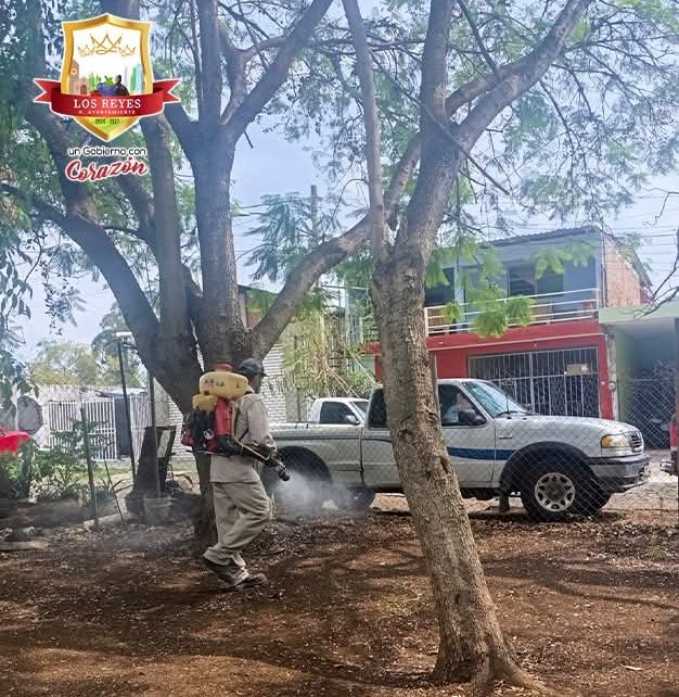 LRDengue