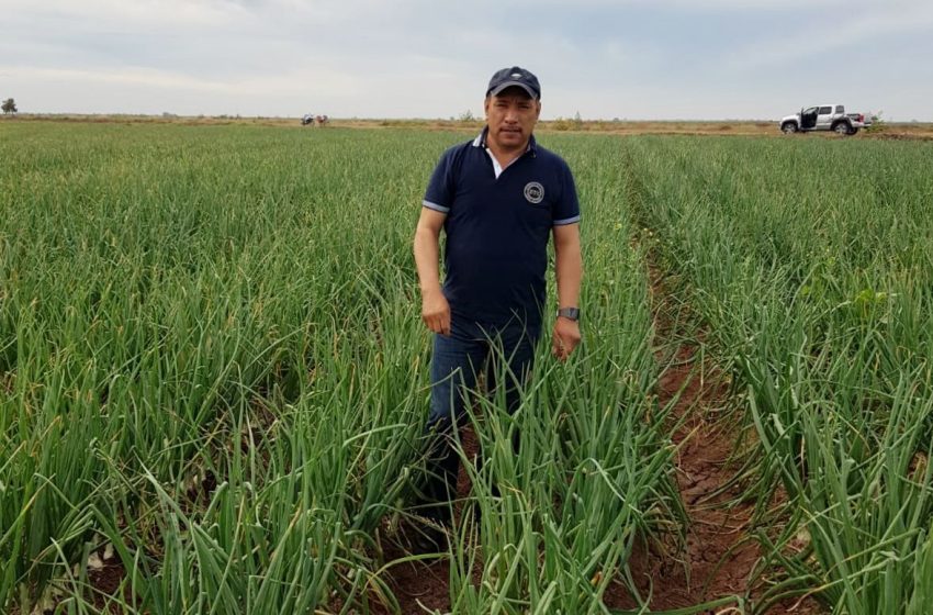 Productores agrícolas enfrentan embestida de demandas por adeudos con extinta Financiera Rural