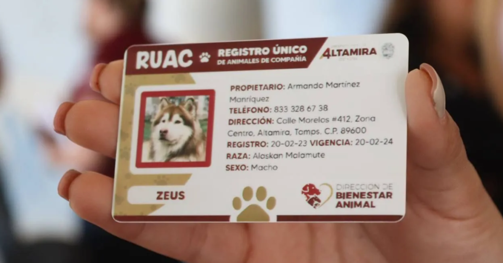 RUAC CDMX