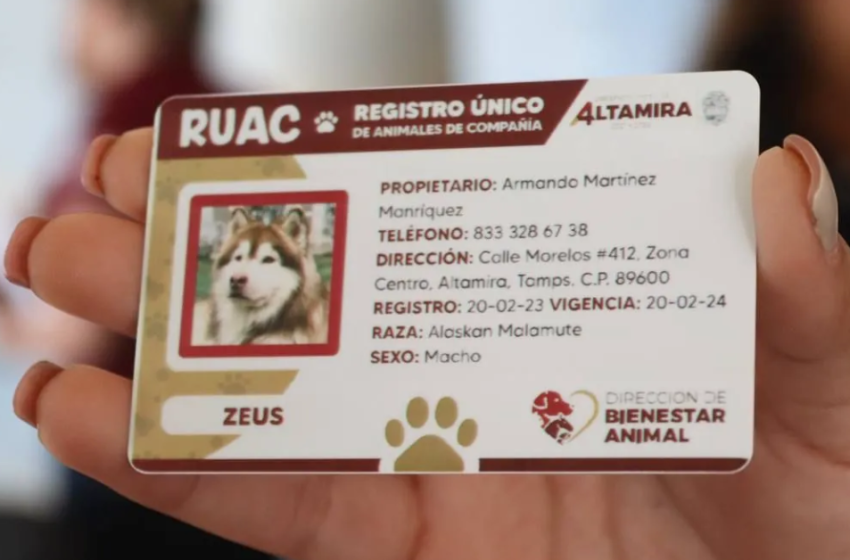 CDMX anuncia última fecha para tramitar el RUAC y posibles sanciones