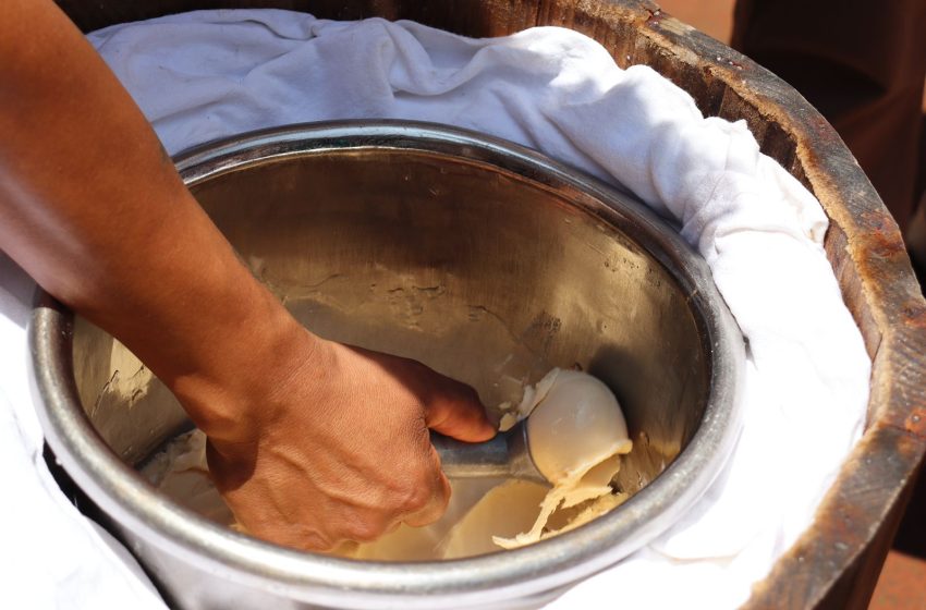 Más de 60 sabores en el Festival de la Nieve de Pasta Zacapu