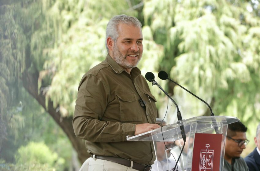 Con Guardián Forestal sumarán mil denuncias por deforestación este año: Bedolla