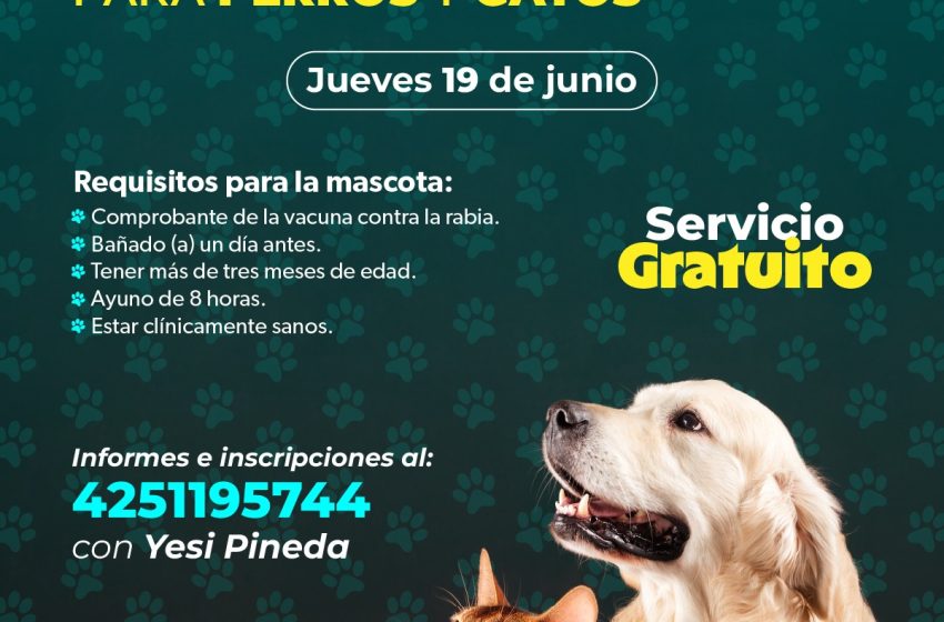 Jornadas de esterilización gratuitas para perros y gatos en Caltzontzin y Tomendán: SSM