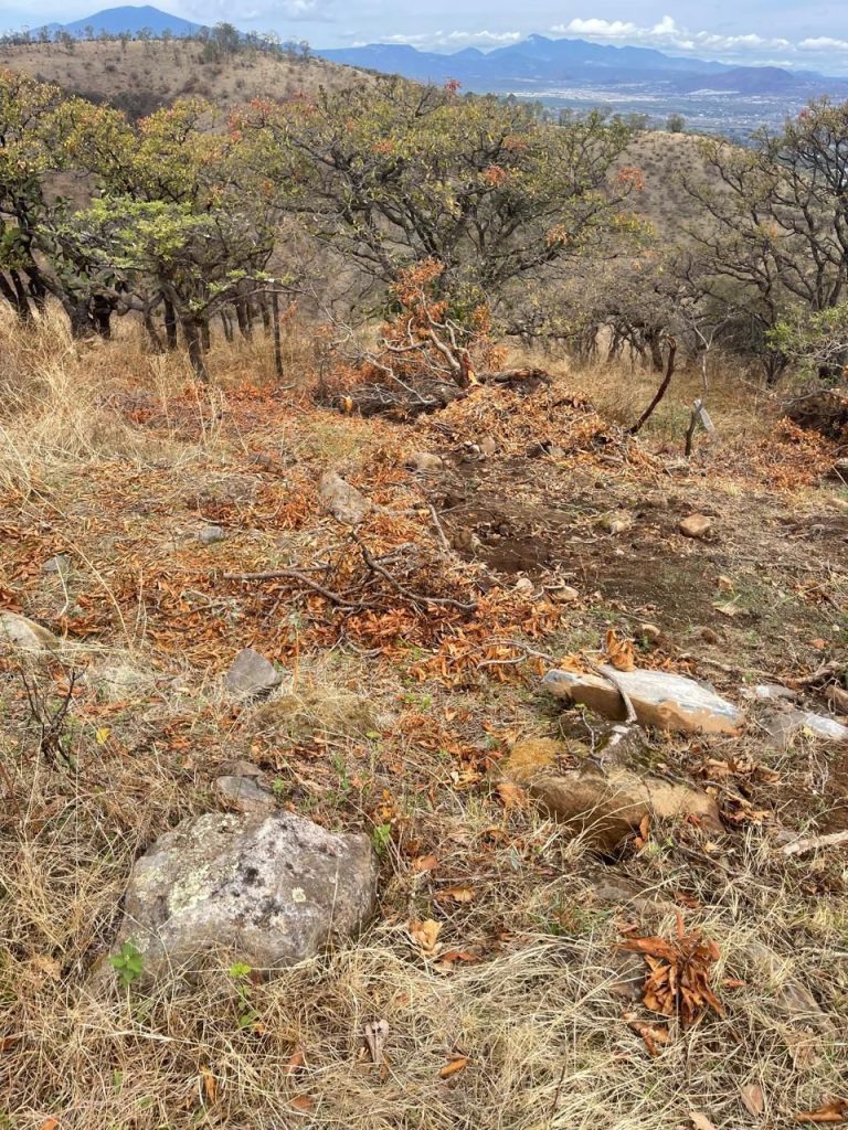 Cumplimenta FGE cateo en predio de Atécuaro, municipio de Morelia, relacionado en cambio de uso de suelo 1 img 20250601 wa00731747189217437476780
