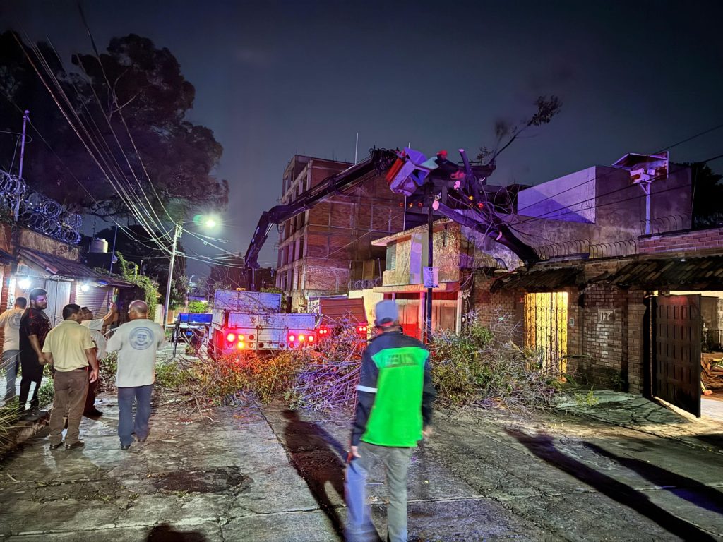Retira Ayuntamiento de Morelia árboles caídos por lluvias 1 img 20250604 wa02584483981148182927630