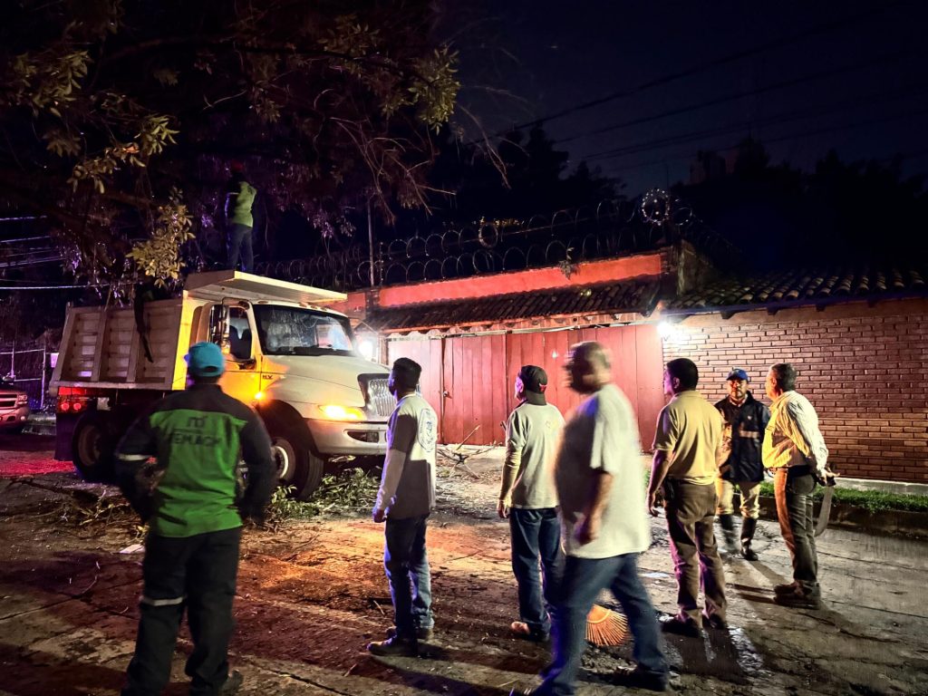 Retira Ayuntamiento de Morelia árboles caídos por lluvias 4 img 20250604 wa02614585129825608193839