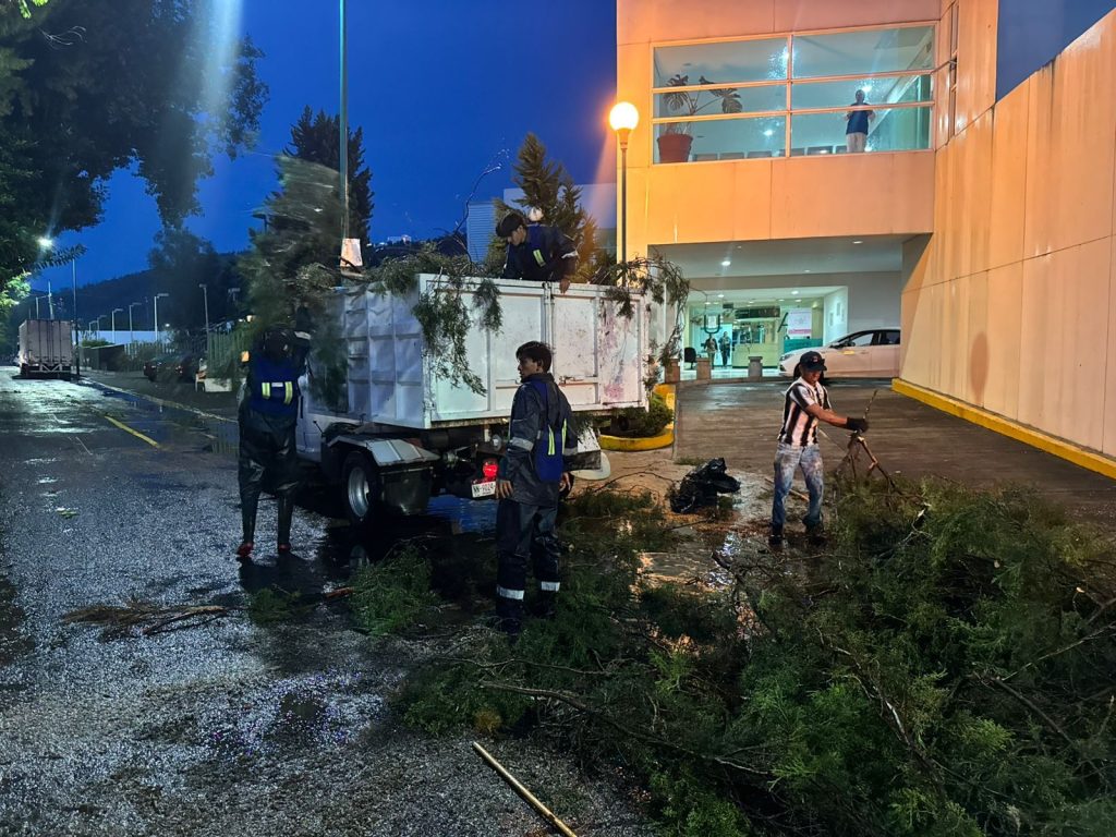 Retira Ayuntamiento de Morelia árboles caídos por lluvias 2 img 20250604 wa02626285467775394183789