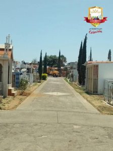 Humberto Jiménez arranca mantenimiento en el panteón municipal con nueva iluminación y acciones contra el dengue 2 img 20250606 wa02237942569337826350691