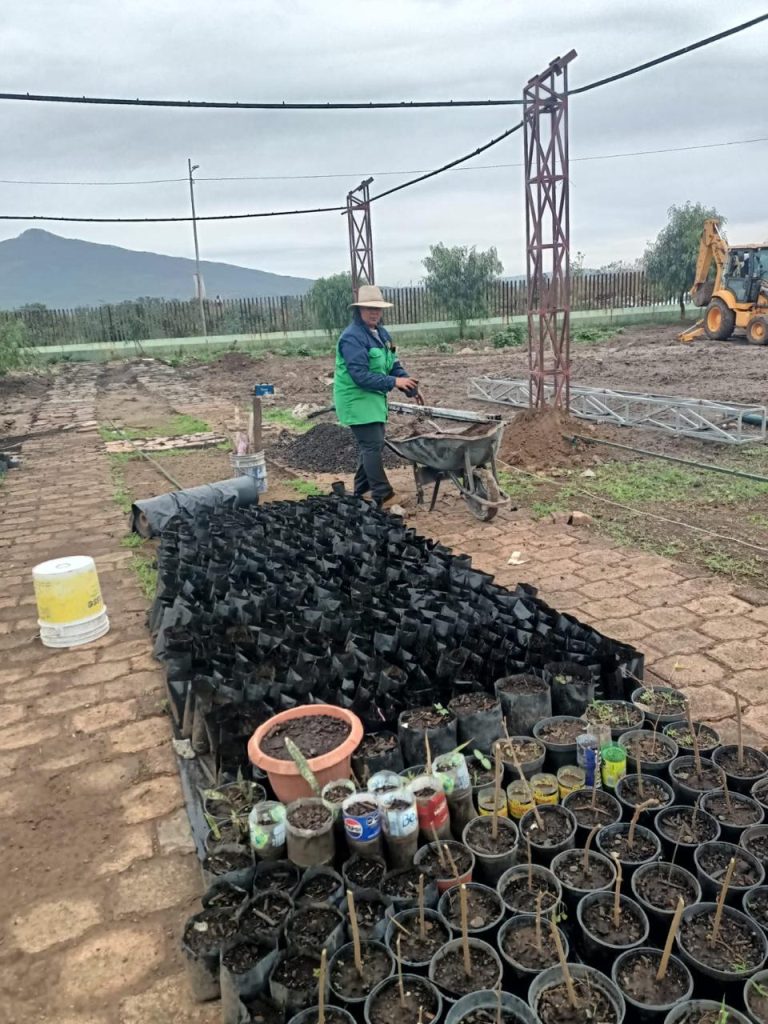 Gobierno de Morelia apuesta por el fortalecimiento ambiental, con nuevo vivero municipal 1 IMG 20250707 WA0037