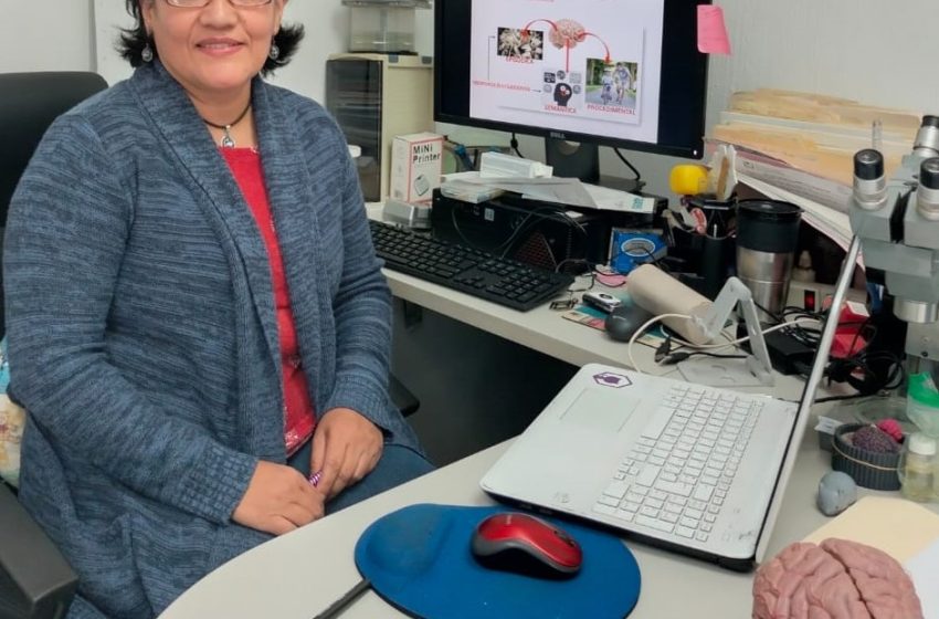  Recomienda IMSS Michoacán cuidar salud cerebral y evitar factores que deterioren su funcionamiento
