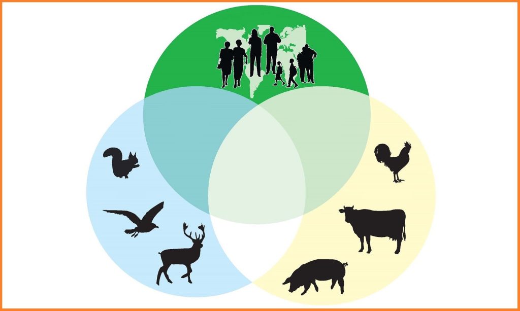 Zoonosis
