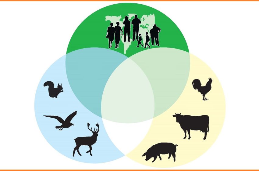 Zoonosis